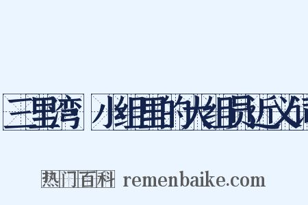 三里湾·小组里的大组员近义词是什么意思的图片